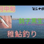 【サビキ釣り】千葉県黒生港で稚鮎釣り