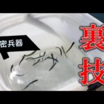 稚鮎爆釣の今必見！釣った魚の針を一瞬で外せる裏技！稚鮎釣りシーズン必須のアイテムがコレです！