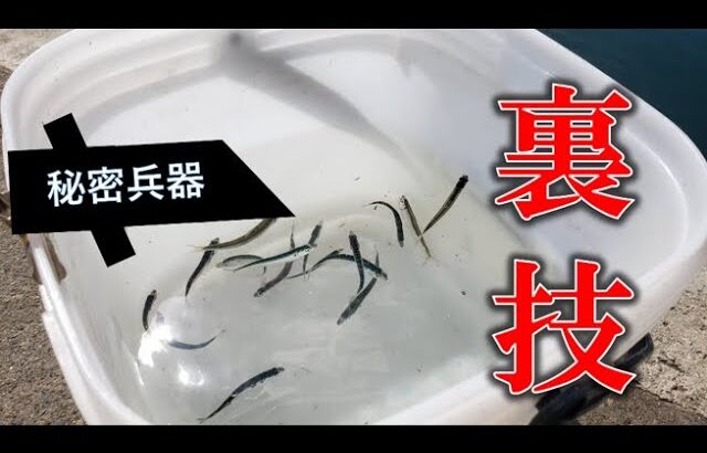 稚鮎爆釣の今必見！釣った魚の針を一瞬で外せる裏技！稚鮎釣りシーズン必須のアイテムがコレです！