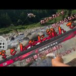 【鮎釣り】縦派？横派？