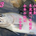 九頭竜川中部漁協 サクラマス･山女魚 本流延べ竿調査