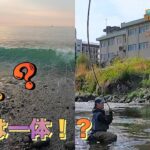 【は！？】「驚愕・度肝・目が点！」今回はここで初めての渓流釣りw（平蔵の渓流釣り！4K60p）