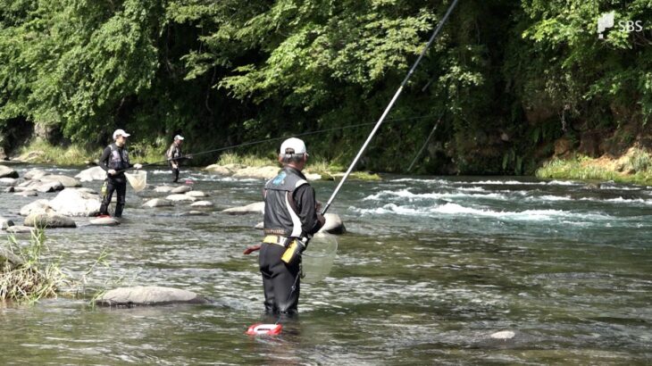 狩野川でアユ釣り解禁　太公望たちが早速竿の列　体長15cm以上で形よく＝静岡