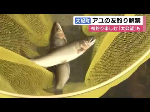 多くの釣り人が一斉に繰り出す…大内山川でアユの友釣りが解禁 体長18cm程のアユを次々に 三重・大紀町 (2023/05/13 12:21)
