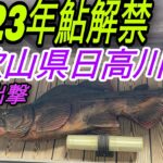 2023鮎解禁 和歌山県龍神を攻める