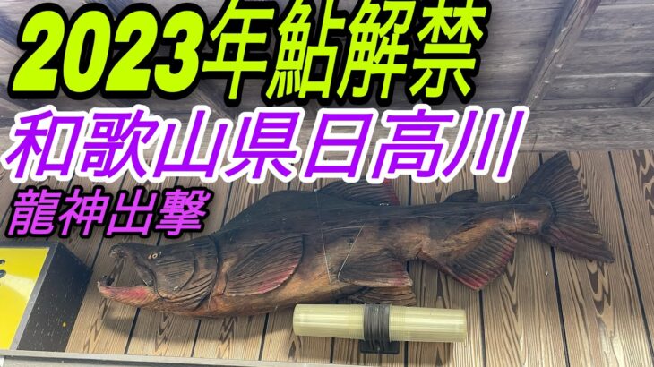 2023鮎解禁 和歌山県龍神を攻める