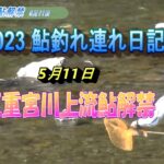 2023 05 11三重宮川上流鮎解禁風景&情報