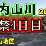 上流部も釣れる大内山川　短時間で釣果が出せました≪大内山 地区編≫【2023年 大内山川】