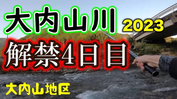 上流部も釣れる大内山川　短時間で釣果が出せました≪大内山 地区編≫【2023年 大内山川】