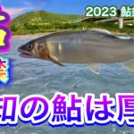 2023 鮎釣り 1　【鮎解禁　高知の鮎は厚い】