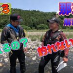 2023 鮎釣り 那珂川解禁直前 今年の那珂川は釣れるの？釣れないの？