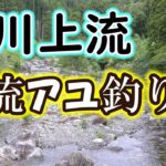 ここならグッドコンディションのアユが居るかも！？宮川上流は支流にもしっかりアユが放流されています！【2023年版】