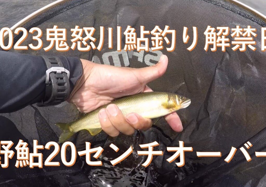 【鮎釣り】2023鬼怒川鮎釣り解禁日【鬼怒川】