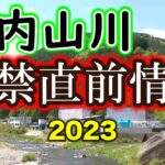 【速報】大内山川の最新状況、撮影してきました！【2023年　鮎釣り解禁直前】