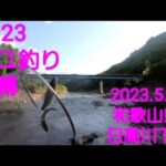 2023 アユ釣り開幕‼️。@和歌山県 日高川下流地区(2023.5.21.)
