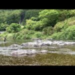 【鮎釣り】2023始動‼︎いざ大内山へ　※予告