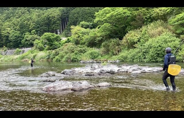 【鮎釣り】2023始動‼︎いざ大内山へ　※予告