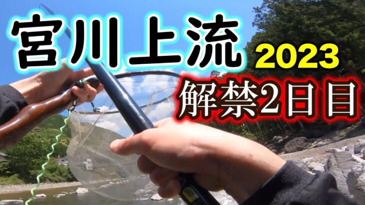 宮川上流アユ釣り解禁2023年　2日目に竿を出しながらアチコチ回ったので実釣レポート