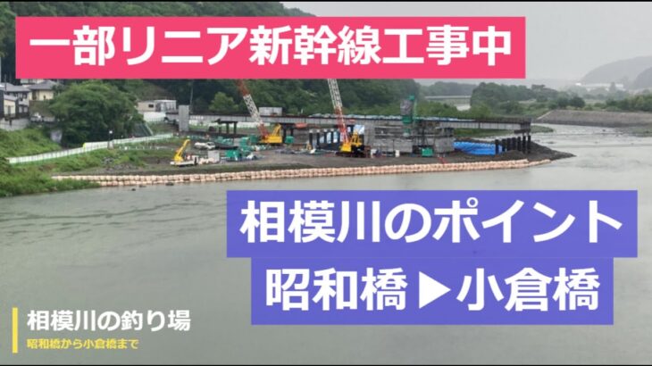 相模川の釣り場巡り　2023年5月　鮎解禁前の様子を川見してきた