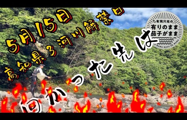 【鮎釣り】2023/5/15  向かった先は！？