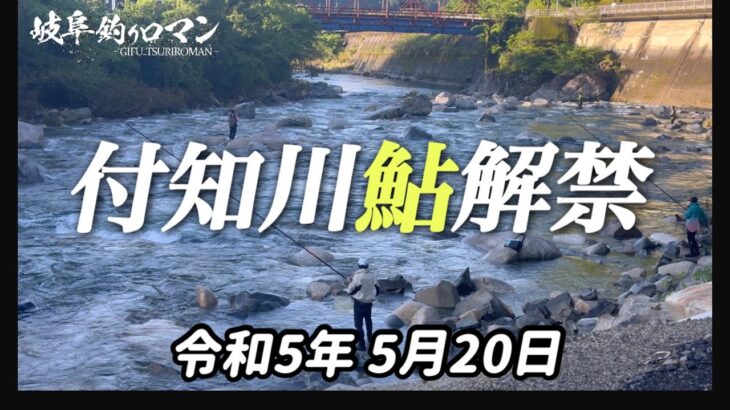 【鮎釣り解禁】2023年5月20日岐阜県初！　付知川鮎釣り解禁！