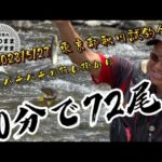 【鮎釣り】2023/5/27。秋川工場オープン間近。