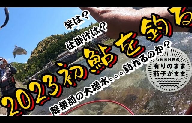 【鮎釣り】2023/5/3 有田川支流湯浅川を釣る！