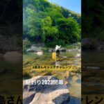鮎釣り2023開幕🎉#鮎釣り#shorts #島さんキャッチチャレンジ