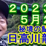 鮎釣り 20cm高引水 残り垢狙い 温泉橋上下 日高川龍神 2023年
