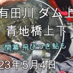 230504 【鮎釣り】有田川 青地橋上下