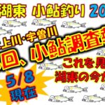 【小鮎釣り・第3回調査・実釣】滋賀、湖東地区三川（芹川・犬上川・宇曽川）の小鮎釣りおよび遡上調査。これを見れば、湖東地区の今がわかる。