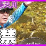 【鮎】天川に別荘かったよ600万円(笑) 森園正二の釣りバカ日記37