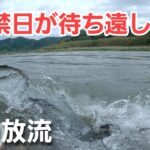 700kgの琵琶湖産稚鮎を６ヶ所に分けて放流！すべての模様をお届けします