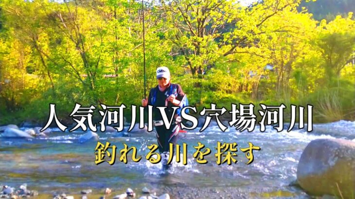 渓流釣り　GWに武者修行に行ってきました。【餌釣り】【車中泊】
