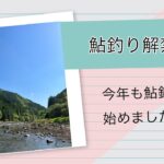 鮎釣解禁しました！！   HD 1080p