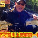 【三重県・宮川上流】㊗️R5鮎釣り解禁！！宮川上流で早期解禁を楽しむ