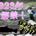 R5.5.20.祝！鮎漁解禁！日田 大山川 Ayu fishing Japanese traditional fishing method