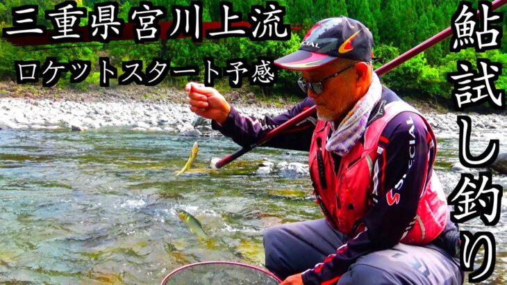 【三重県・宮川上流】R5.5.6、試し釣り速報。目印ぶっ飛び、真っ黄色の鮎！！100点満点！！