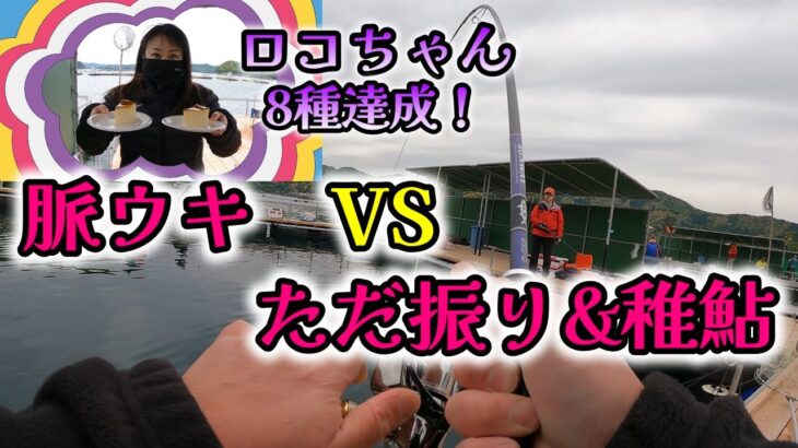 【海上釣堀】脈ウキVSただ振り&稚鮎！勝敗は!?