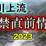 お見せしましょう！川の最新状況！in 三重県 宮川上流　【2023年　鮎釣り解禁直前】