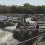 闘竜灘でアユ釣り解禁