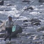 待ってました！アユの友釣り解禁「家に持って帰ると家族に喜ばれる」三重・大台町の宮川上流