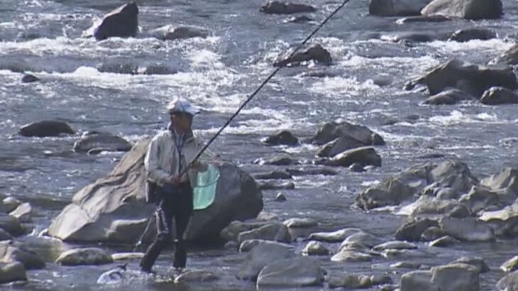 待ってました！アユの友釣り解禁「家に持って帰ると家族に喜ばれる」三重・大台町の宮川上流