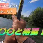 鮎釣り 混んでいる本流をを避けて分流に入り〇〇と格闘💦