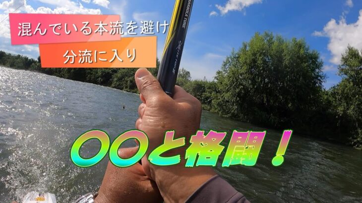 鮎釣り 混んでいる本流をを避けて分流に入り〇〇と格闘💦