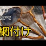 天然木へ網を取り付ける　鮎タモ　渓流タモ