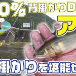 【鮎友釣り】入門者簡単マニュアル 中級者初期釣果アップのコツ 三重県大内山川