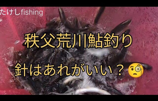 【秩父鮎釣り】可愛い鮎にはこの針がいい？🧐