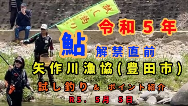 令和５年 鮎解禁直前『矢作川漁協(豊田市)』試し釣り&ポイント紹介