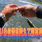 鮎釣り オモリの位置を変えて瀬を攻める